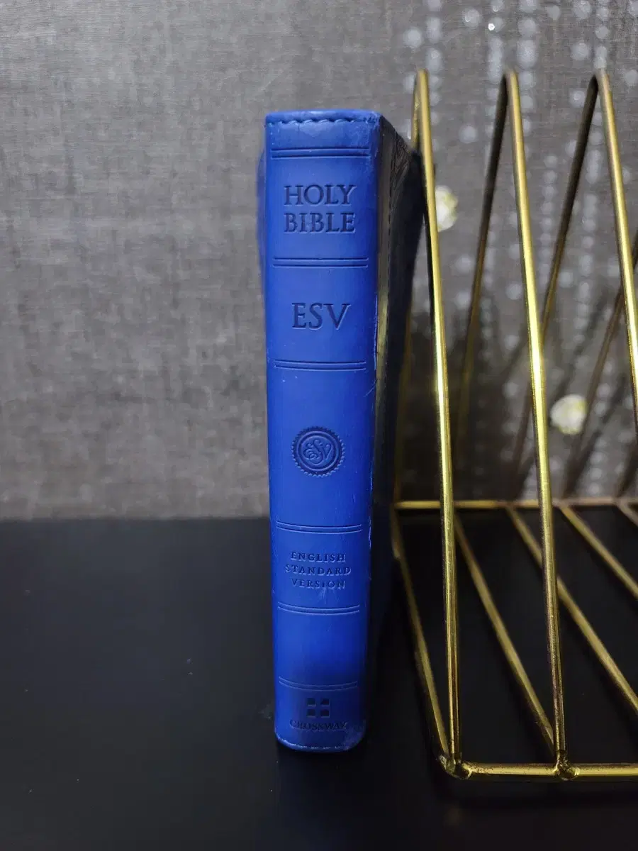 Holy Bible (영어성경)